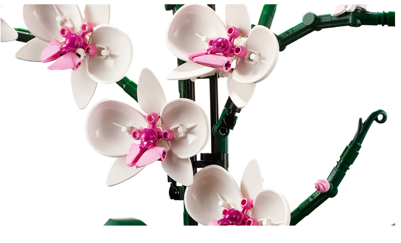 LEGO® 10311 Creator Expert Orchid - My Hobbies
