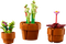 LEGO 10329 Icons Tiny Plants