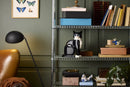 LEGO 21349 Ideas Tuxedo Cat