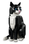 LEGO 21349 Ideas Tuxedo Cat