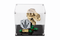 LEGO 76964 Jurassic World Dinosaur Fossils: T. rex Skull Display Case