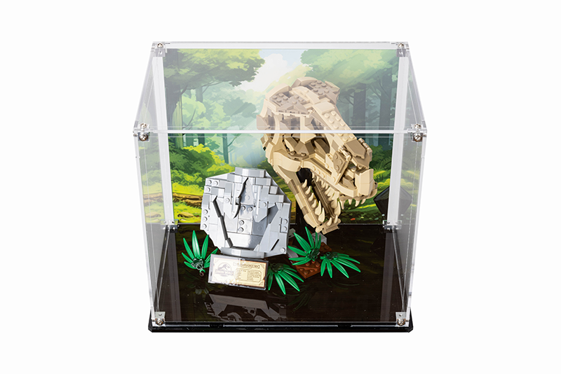 LEGO 76964 Jurassic World Dinosaur Fossils: T. rex Skull Display Case