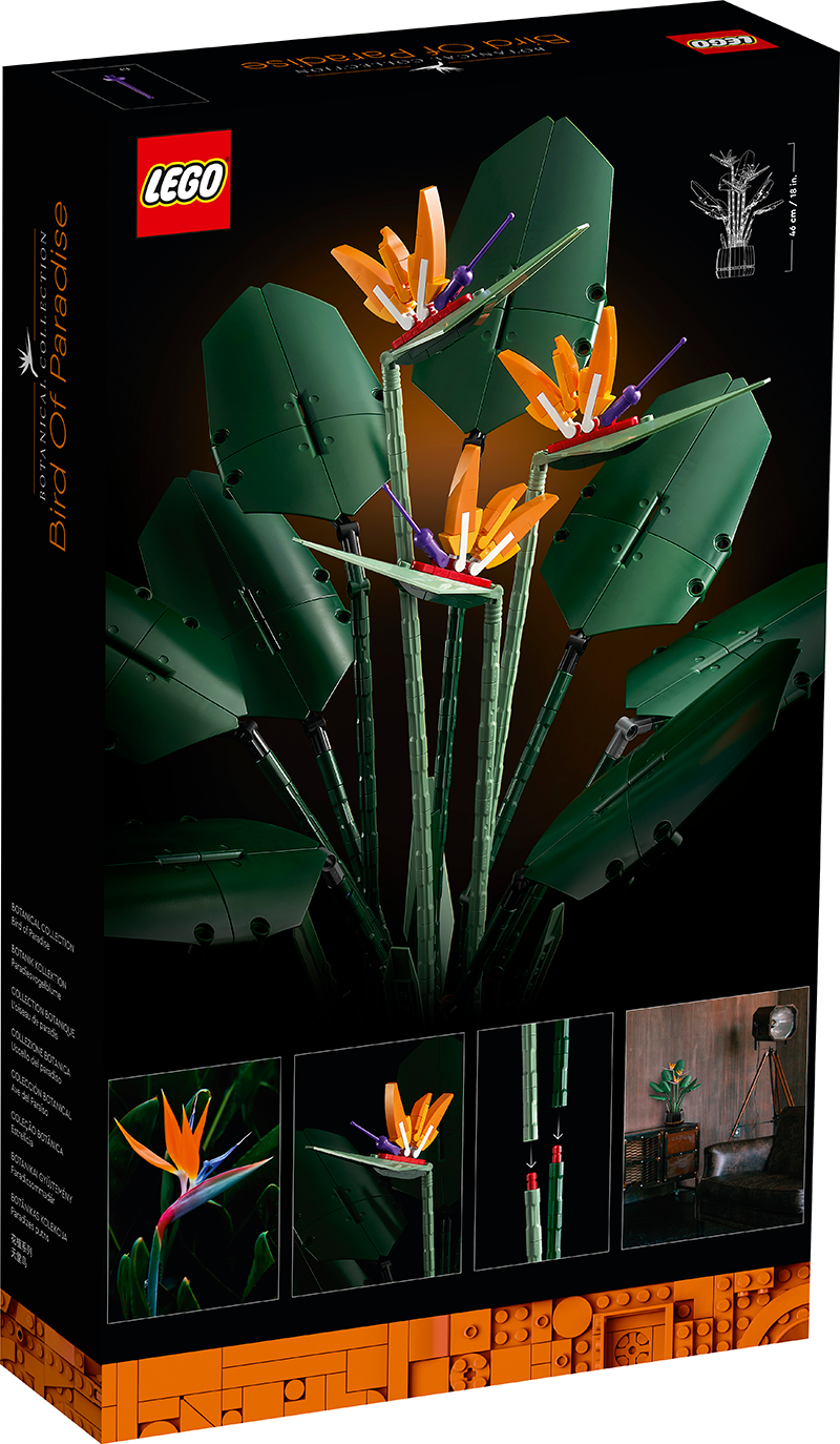 LEGO® Creator Expert 10280 Flower Bouquet 10281 Bonsai Tree 10289 Bird of Paradise Bundle (Set of 3) - My Hobbies