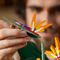 LEGO® 10289 Creator Expert Bird of Paradise - My Hobbies