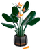 LEGO® Creator Expert 10280 Flower Bouquet 10281 Bonsai Tree 10289 Bird of Paradise Bundle (Set of 3) - My Hobbies