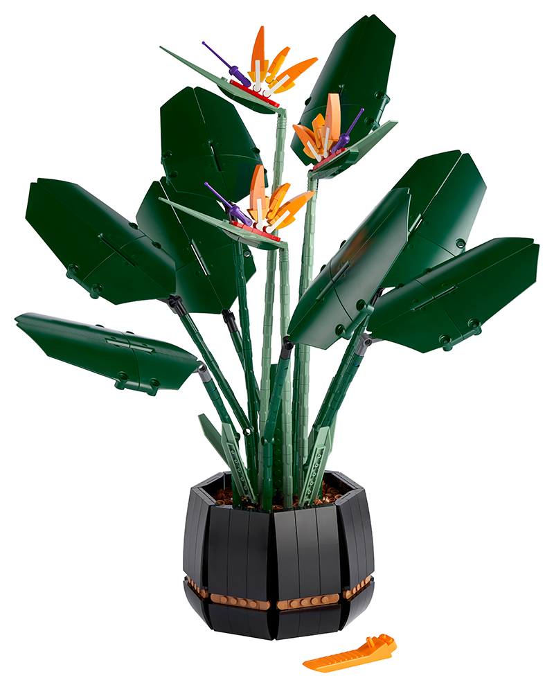 LEGO® Creator Expert 10280 Flower Bouquet 10281 Bonsai Tree 10289 Bird of Paradise Bundle (Set of 3) - My Hobbies