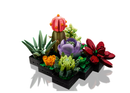 LEGO® 10309 Creator Expert Succulents - My Hobbies