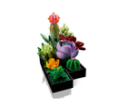 LEGO® 10309 Creator Expert Succulents & 10311 Orchid Bundle (set of 2) - My Hobbies