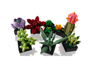 LEGO® 10309 Creator Expert Succulents - My Hobbies