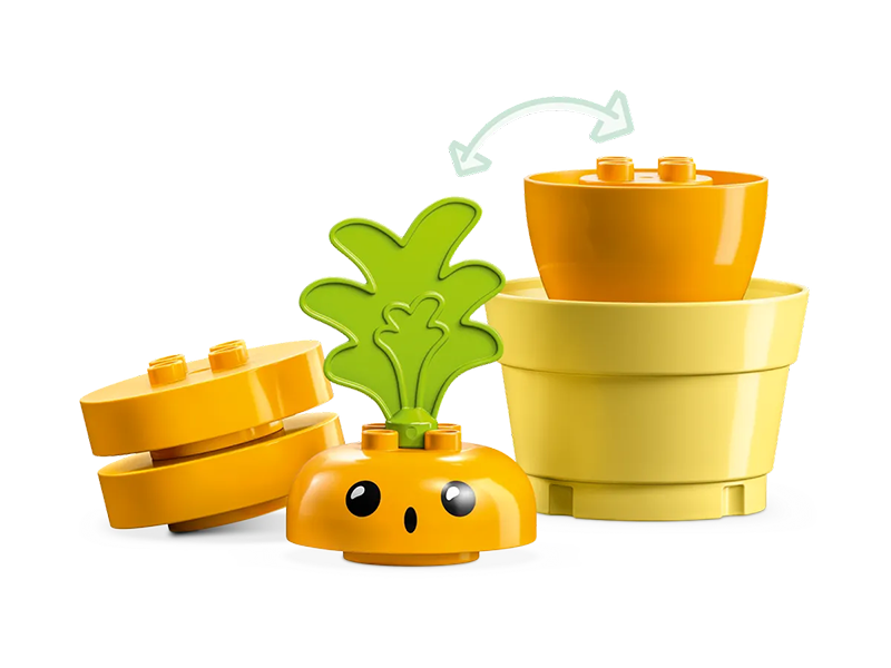 LEGO® 10981 Growing Carrot - My Hobbies