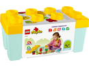 LEGO® 10984 DUPLO® Organic Garden - My Hobbies