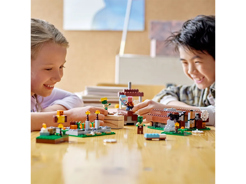 LEGO® 21190 Minecraft® The Abandoned Village - My Hobbies