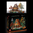 LEGO 21338 set with Black Base Display Case for 21338 (set of 2)