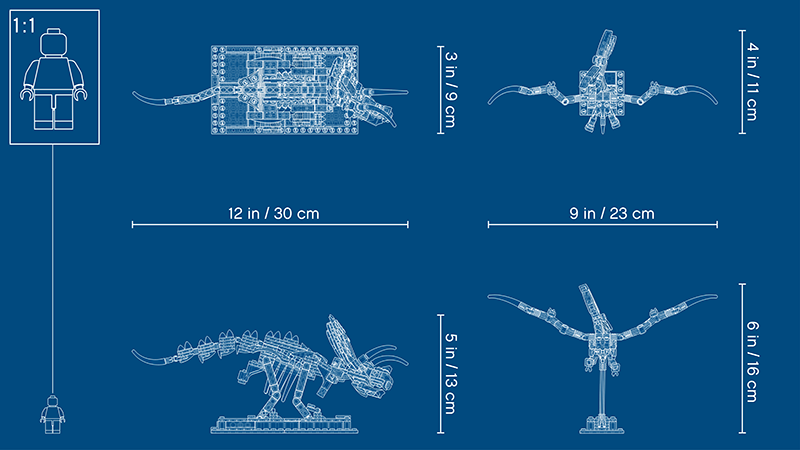 LEGO® 21320 Ideas Dinosaur Fossils - My Hobbies