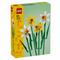 LEGO 40747 Creator Expert Daffodils (Ship From 31st of January 2024)
