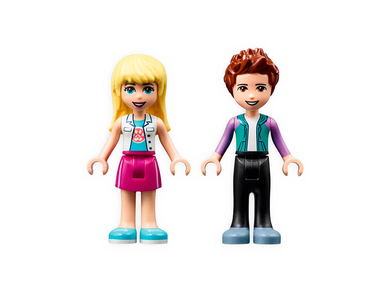 Lego friends online sophie and henry