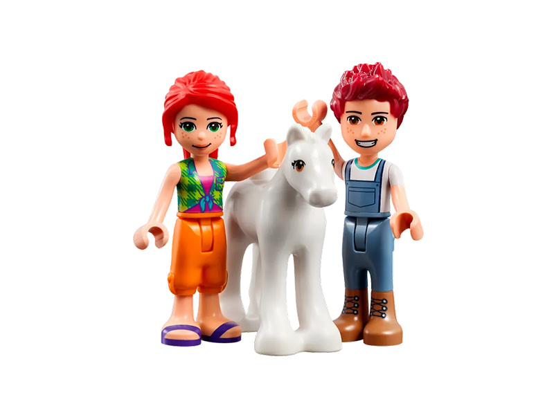 Lego top friends pony
