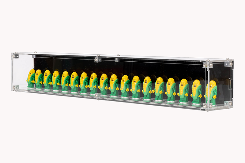 Wall Mounted Display Case for 18 LEGO Minifigure - My Hobbies