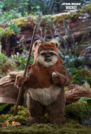 Hot Toys Star Wars - Wicket Return of the Jedi 1:6 Scale Acton Figure - My Hobbies