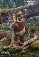 Hot Toys Star Wars - Wicket Return of the Jedi 1:6 Scale Acton Figure - My Hobbies
