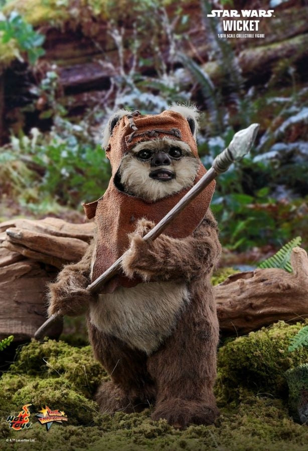 Hot Toys Star Wars - Wicket Return of the Jedi 1:6 Scale Acton Figure - My Hobbies