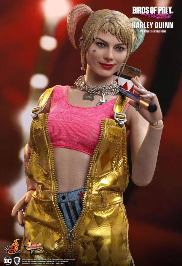 Hot Toy Birds of Prey - Harley Quinn 1:6 Scale 12" Action Figure - My Hobbies