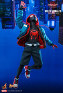 Hot Toy Spider-Man: Into the Sider-Verse - Miles Morales 1:6 Scale 12" Action Figure - My Hobbies