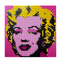 LEGO® Art 31197 Andy Warhol's Marilyn Monroe - My Hobbies