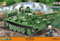 Cobi Vietnam War - Medium Tank T55 MBT (515 pieces) - My Hobbies