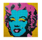 LEGO® Art 31197 Andy Warhol's Marilyn Monroe - My Hobbies