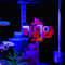 Light My Bricks LEGO Fish Tank