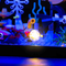 Light My Bricks LEGO Fish Tank