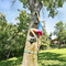Slackers - Tree Climbers - My Hobbies